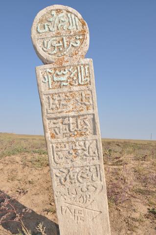 №5